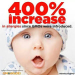GMO #25